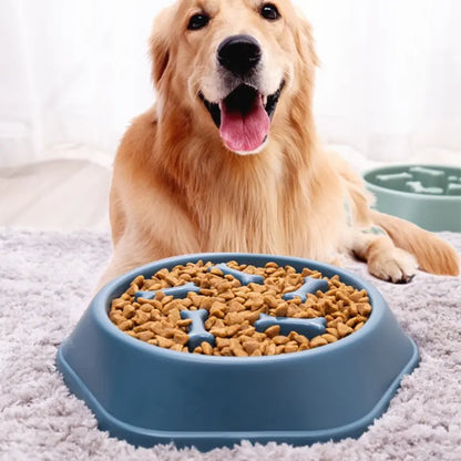 Comedero Lento para Mascotas